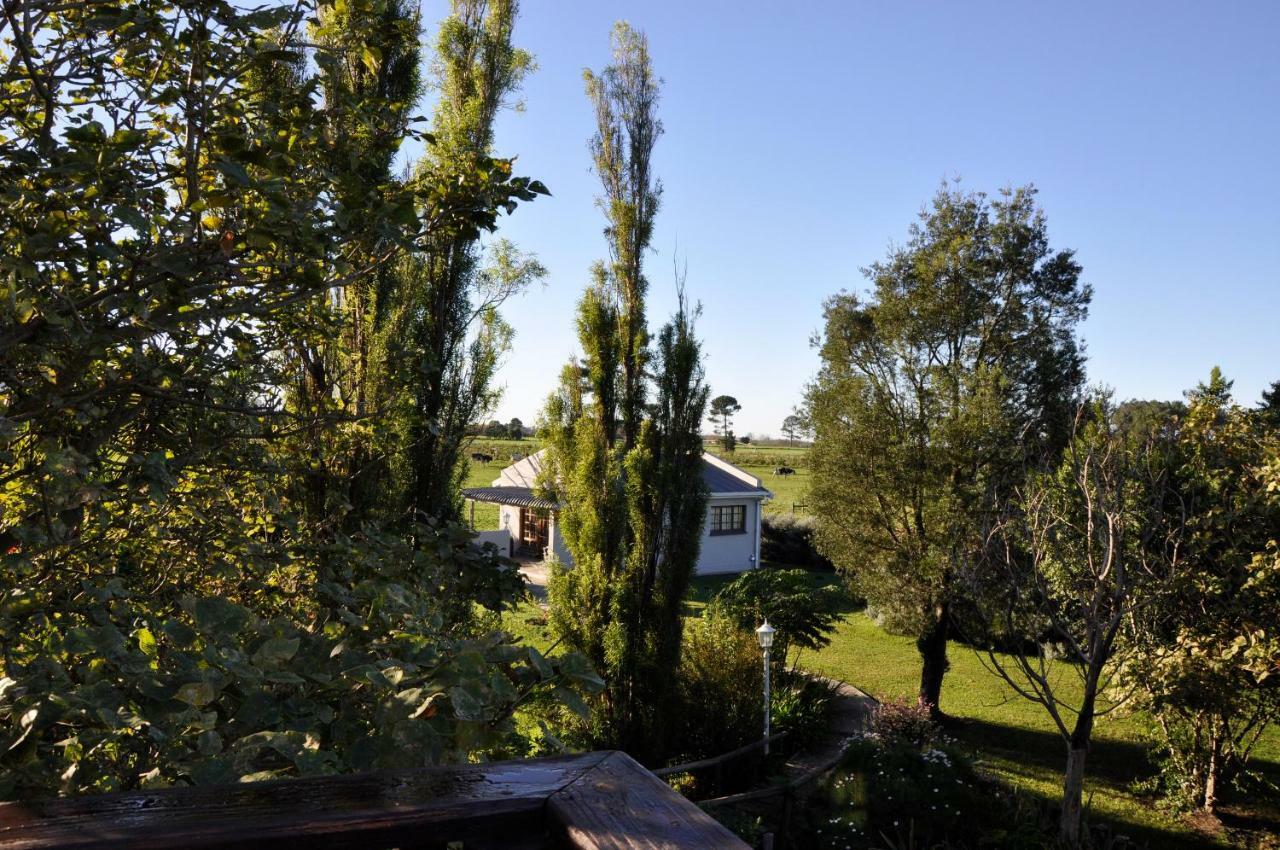 Tsitsikamma Gardens Cottages Self-Catering Cottages Sanddrif Luaran gambar